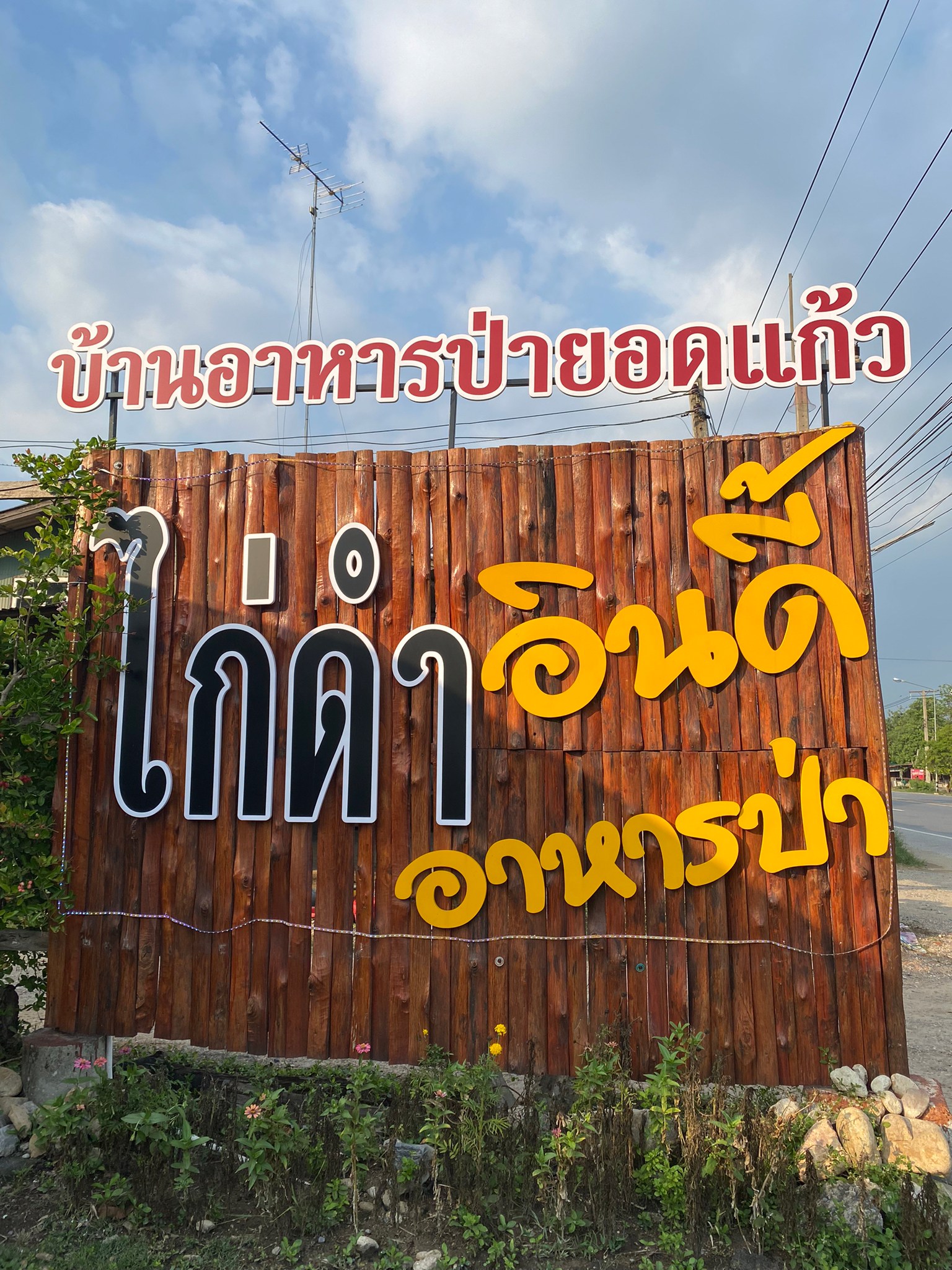 ร้าน อาหารป่า หน้าตาแปลก ๆ แต่อร่อย บ้านอาหารป่า ยอดแก้ว ( ร้านไก่ดำ )