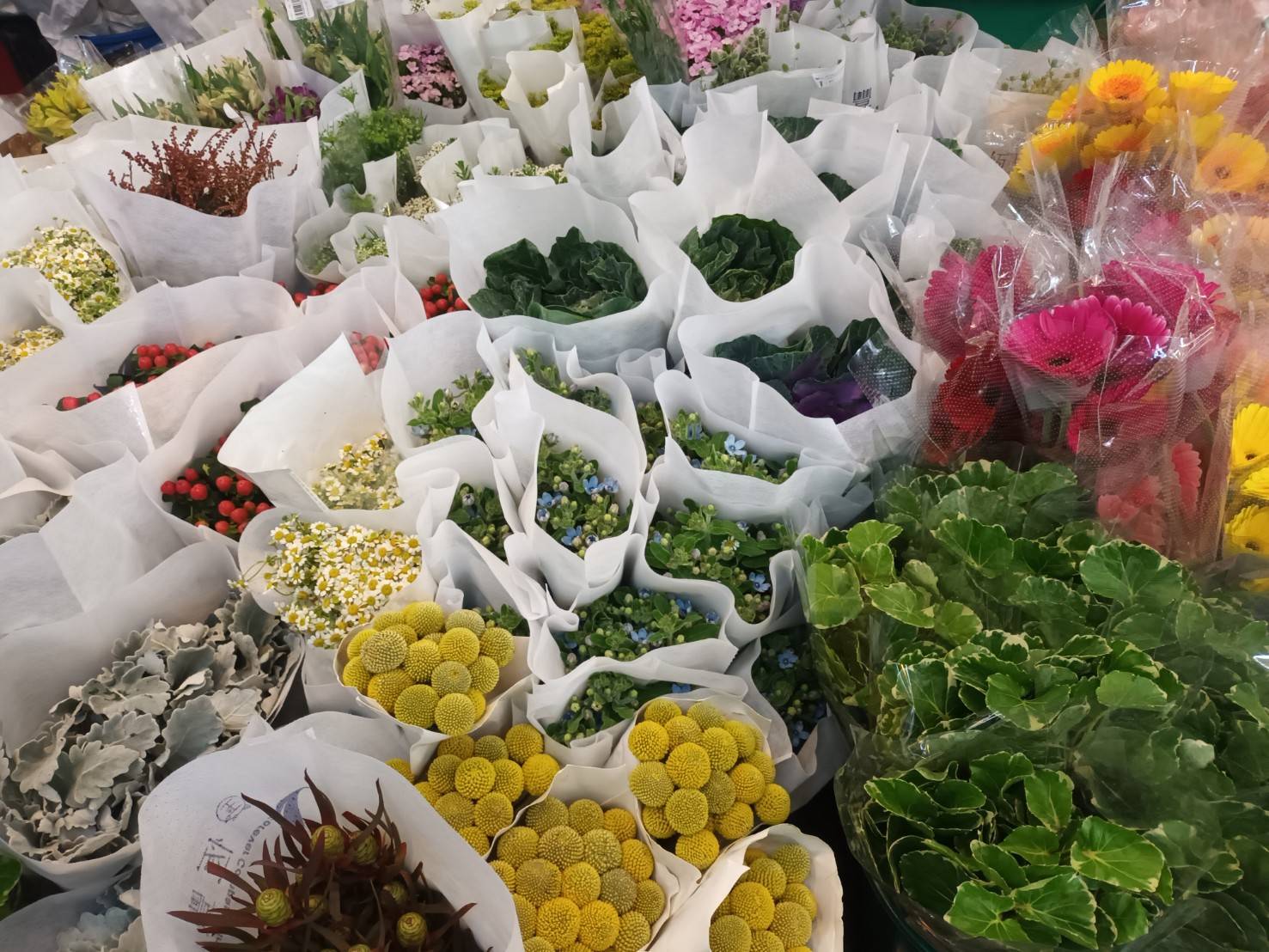 ปากคลองตลาด พื้นที่ แห่ง ความสุข ของคนชอบ ดอกไม้ เดินเที่ยวได้ทั้งวัน